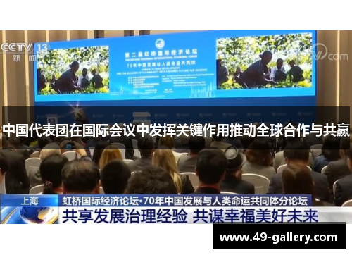 中国代表团在国际会议中发挥关键作用推动全球合作与共赢