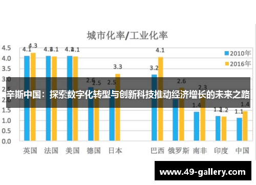 辛斯中国：探索数字化转型与创新科技推动经济增长的未来之路